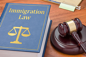 Naturalization lawyer at Hanlon Law Group